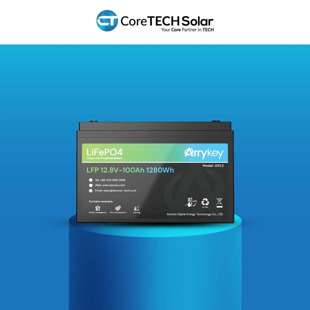 lifepo4 dyness battery 1